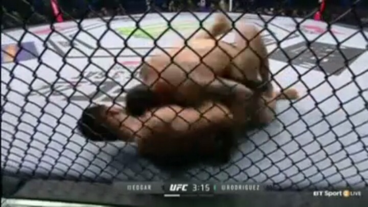 UFC 214 에드가 vs. 로드리게즈 승자.jpg | 인스티즈