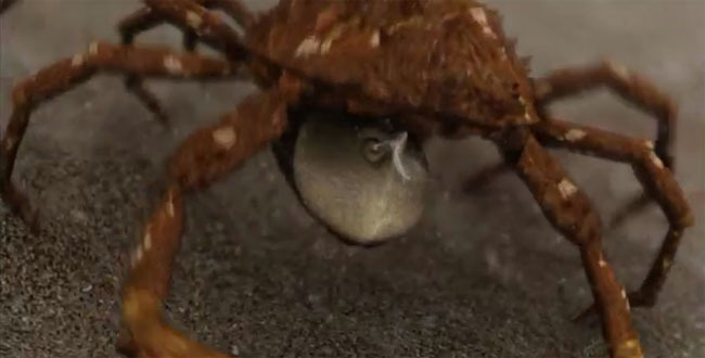 숙주가 필요한 기생충들 | 인스티즈