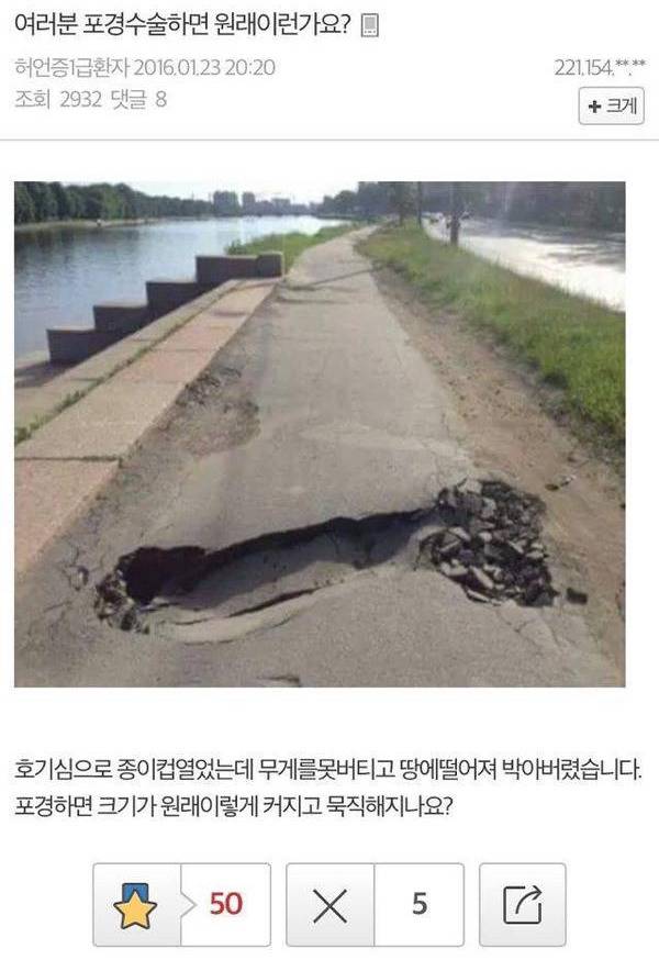 허언갤 베스트 | 인스티즈