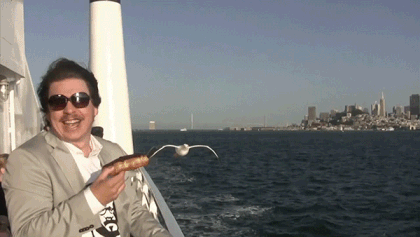 사람을 등는 갈매기 | 인스티즈