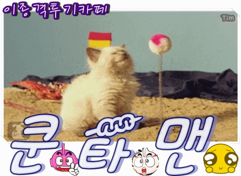 QPR레전드 | 인스티즈