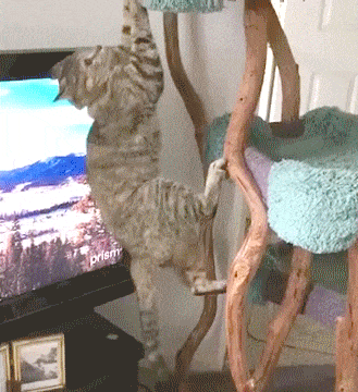 아침엔 역시 | 인스티즈