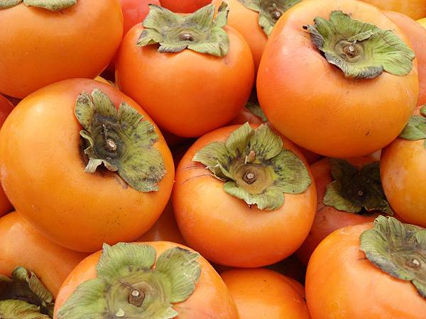 젊은이들은 그닥 좋아하지 않는 과일.jpg | 인스티즈