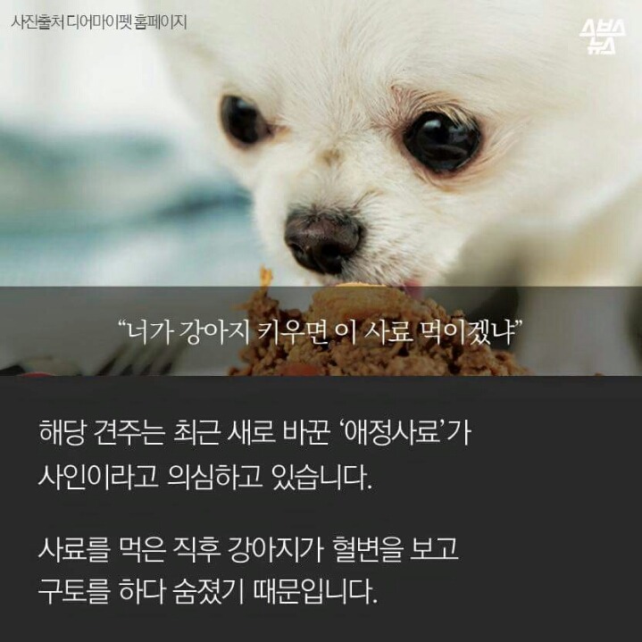 애정이 독이 된 사료 | 인스티즈