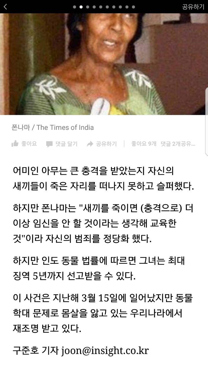 어미견 보는 앞에서 새끼들 차례로 죽인 XXX | 인스티즈