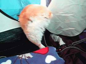 편의점 알바하다 귀여워쥬금ㅋㅋㅋㅋ | 인스티즈