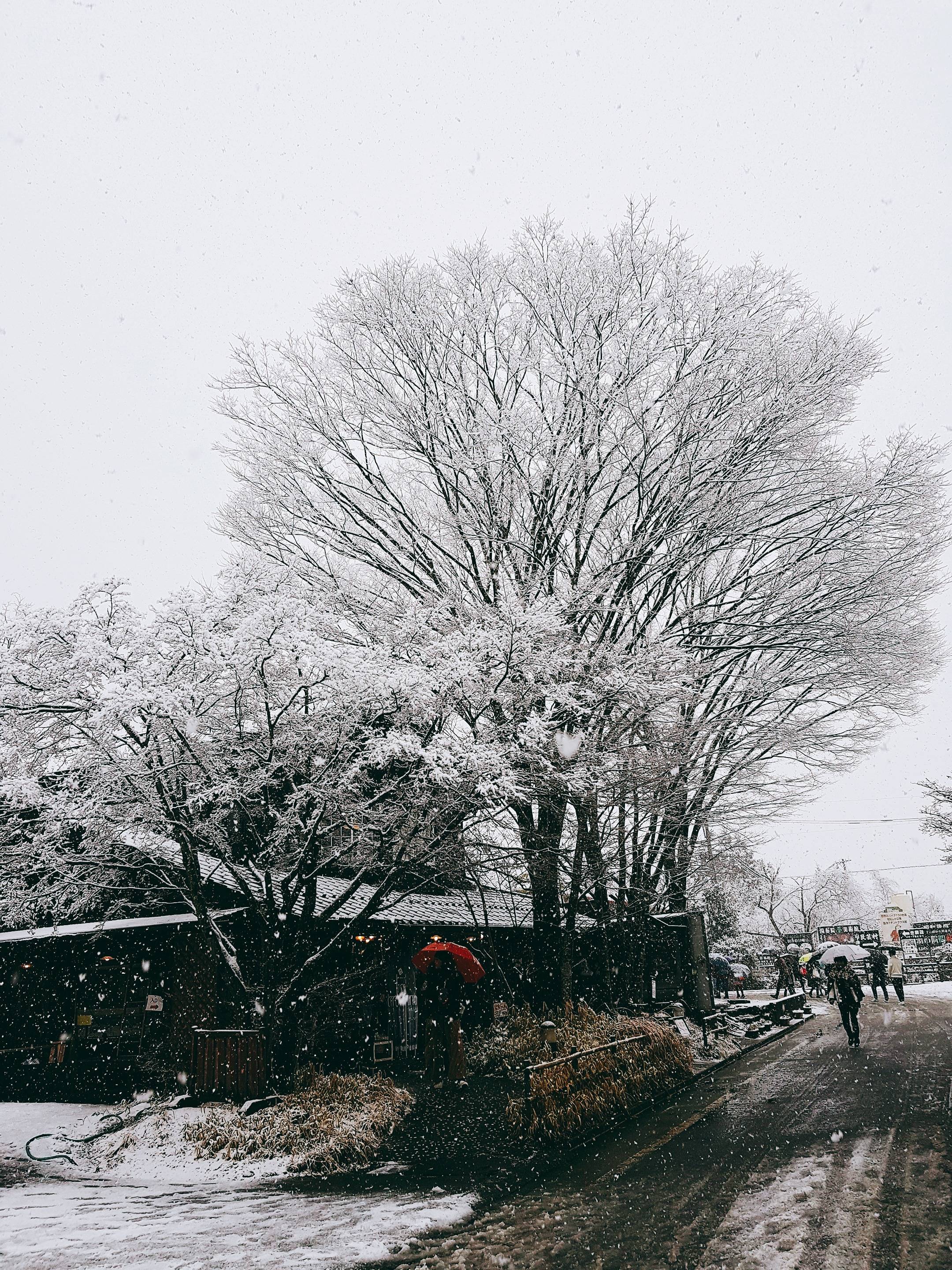 규슈에서 눈이 | 인스티즈