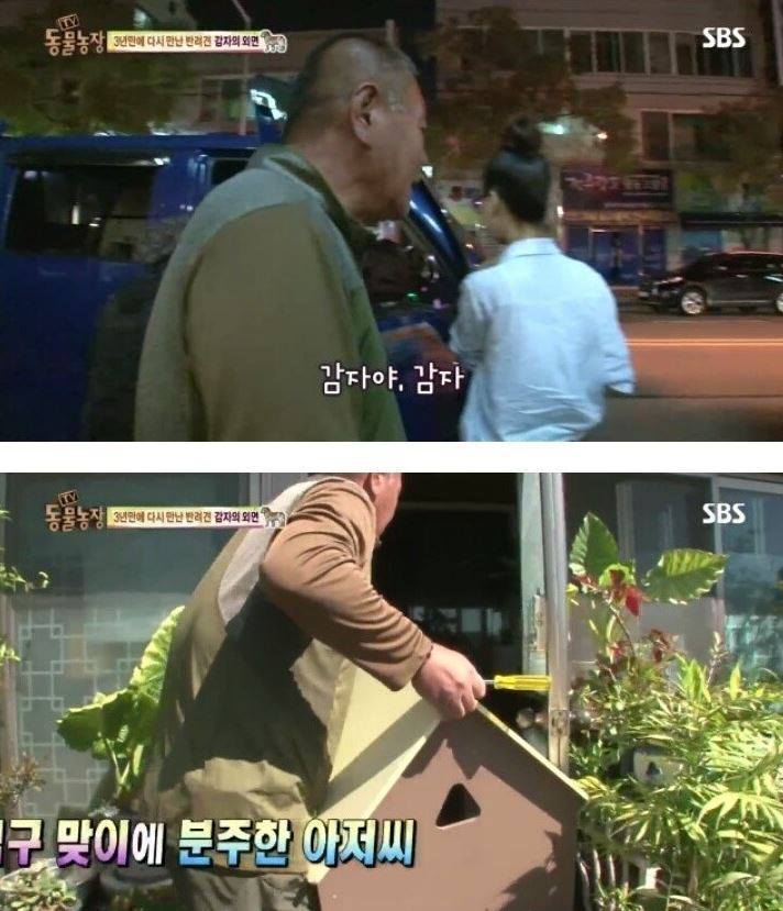 잃어버린 개를 3년만에 찾은 아저씨 | 인스티즈