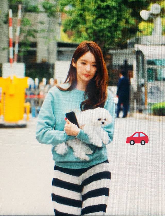 오늘자 다비치 남다른 출근길ㅋㅋㅋㅋㅋㅋ | 인스티즈