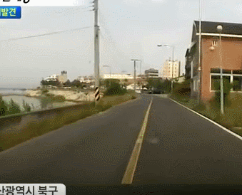 운전중 제일 부류.gif | 인스티즈