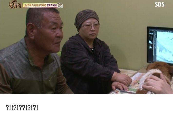 잃어버린 개를 3년만에 찾은 아저씨 | 인스티즈