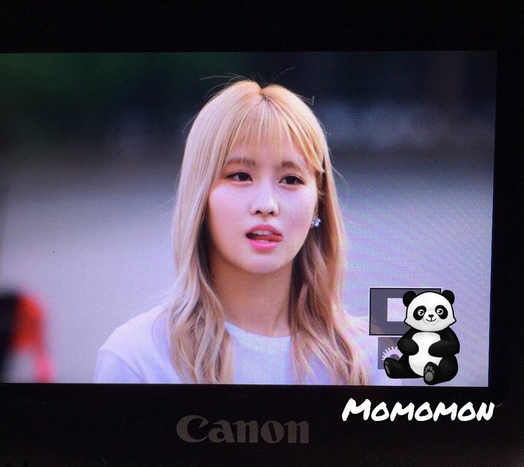 [트와이스] 모모 | 인스티즈