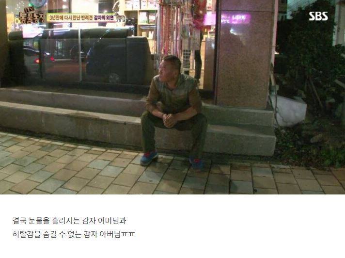 잃어버린 개를 3년만에 찾은 아저씨 | 인스티즈