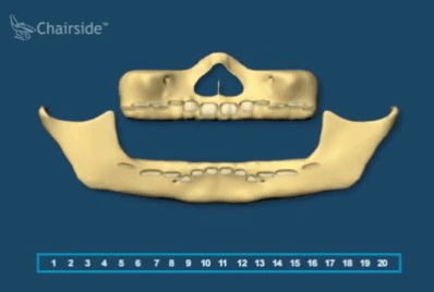 치아가 자라나는 과정.gif | 인스티즈