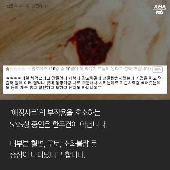 애정이 독이 된 사료 | 인스티즈