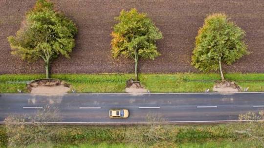 사람들은 왜 무릎을 꺾는 것일까 | 인스티즈