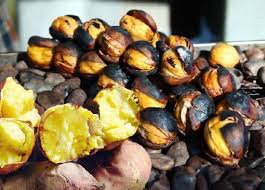 겨울에는 현금을 가지고 다녀야 하는 이유 | 인스티즈