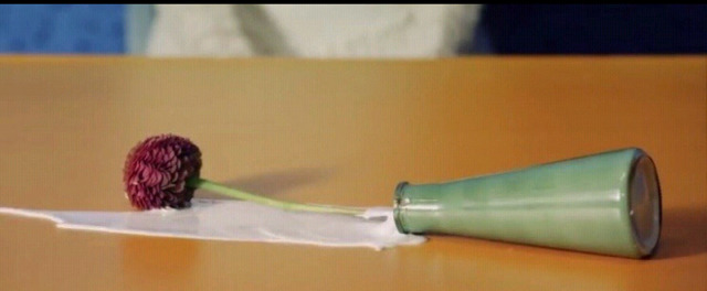 아이유 사과가 깔끔하지 않은이유 | 인스티즈