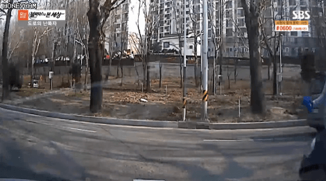 도로의 난폭자 | 인스티즈