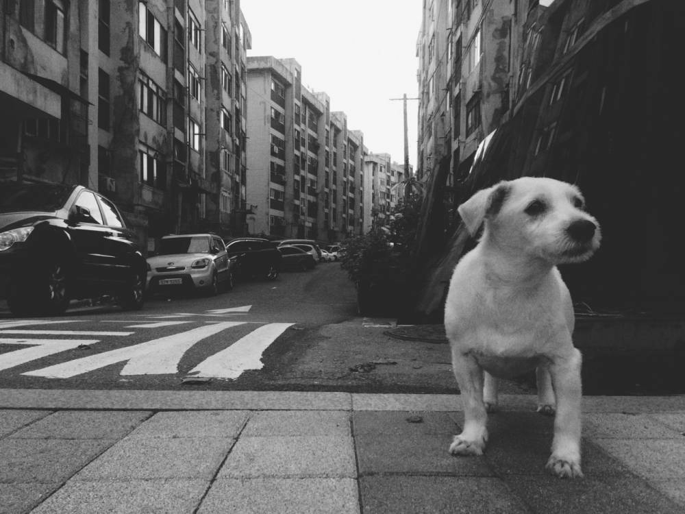 외국인이 촬영한 한국 풍경 | 인스티즈