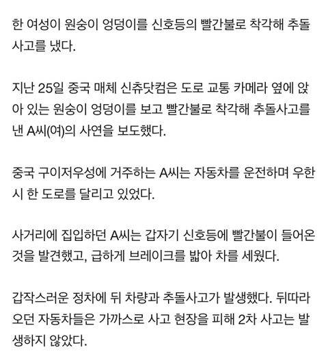 원숭이 엉덩이 빨간불로 착각해 교통사고 낸 여성 | 인스티즈