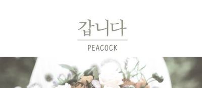 [노래추천] 기린의 알아도 좋을 인디가수들 3탄 | 인스티즈