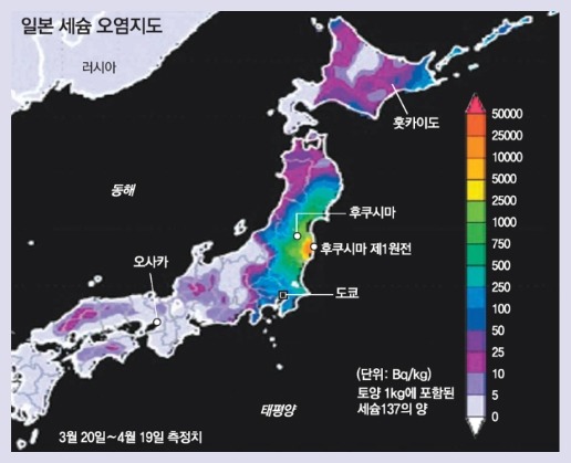 일본 여행 글 올라오면 꼭 달리는 댓글 TOP 4.txt | 인스티즈