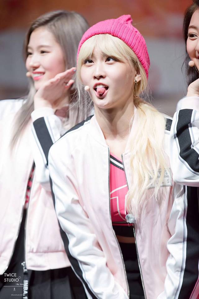 트둥이9분할 | 인스티즈