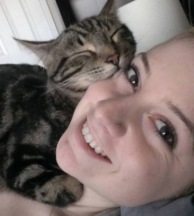 집사와 사이 좋은 냥님들 | 인스티즈