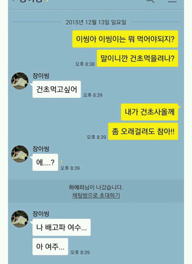 이젠 사람 아니고 동물이다 유니콘 영고엑 | 인스티즈