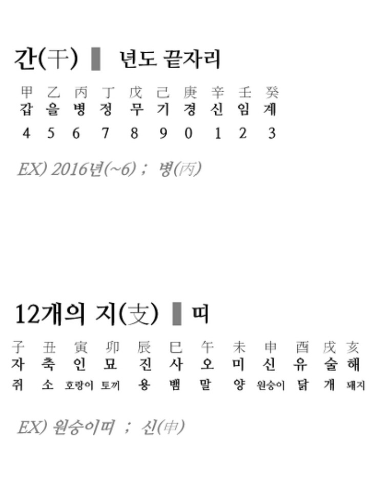 본인이 태어난 해의 간지는? | 인스티즈