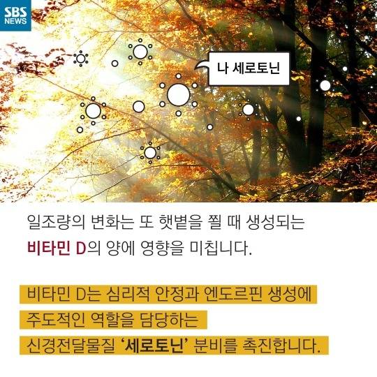 사람이 가을타는 이유 | 인스티즈