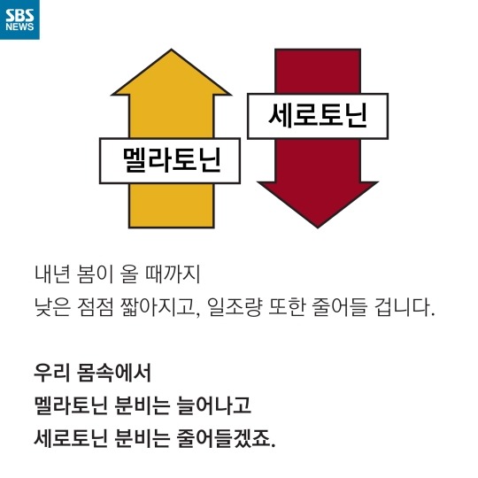 사람이 가을타는 이유 | 인스티즈
