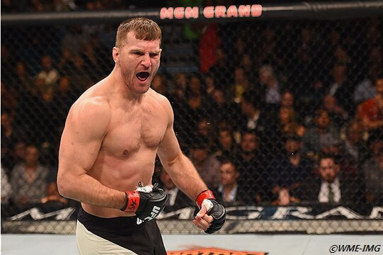 스티페 미오치치 vs 자이언트 판다 (누가이길까) | 인스티즈