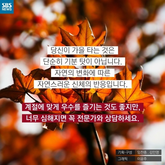 사람이 가을타는 이유 | 인스티즈