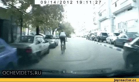 불곰국의 자라니.gif | 인스티즈