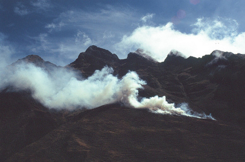  나는 낯선 사람이 되어 너를 떠났고 너는 나를 떠나 낯선 사람이 되었다 | 인스티즈
