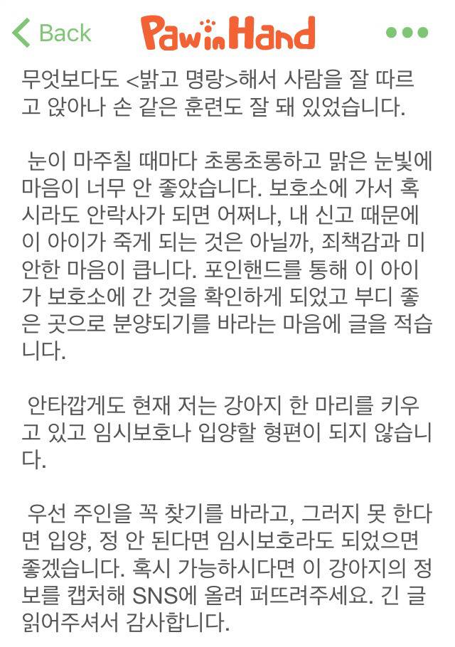 온순하고 사람을 잘 따르는 스피츠믹스 아가입니다 (대구) | 인스티즈