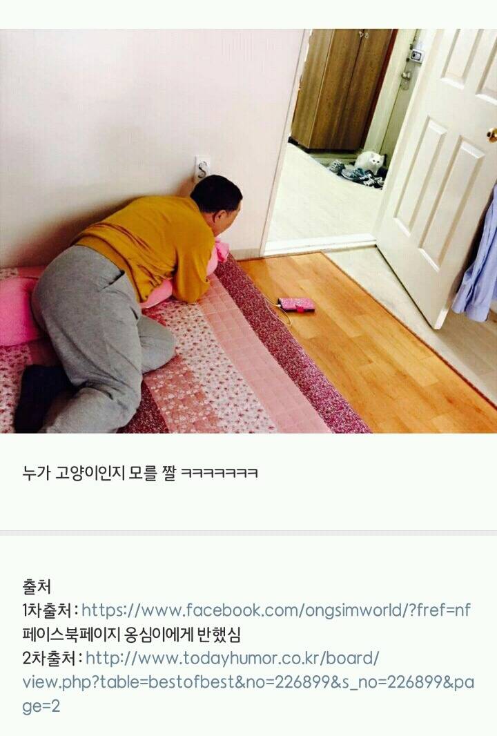 집에 고양이 데려오지 말라던 아부지 . JPG | 인스티즈