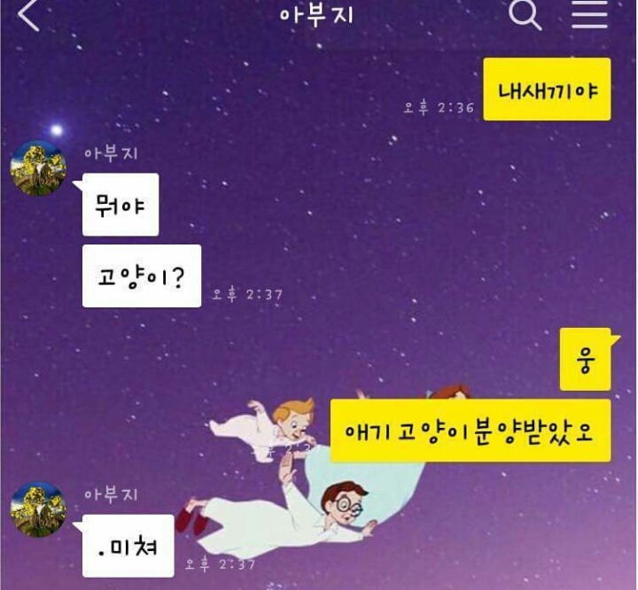 집에 고양이 데려오지 말라던 아부지 . JPG | 인스티즈