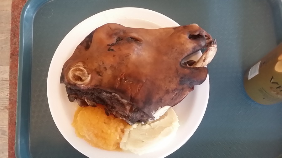 아이슬란드에서 먹은 충격적인 양머리 요리.jpg (혐오주의) | 인스티즈