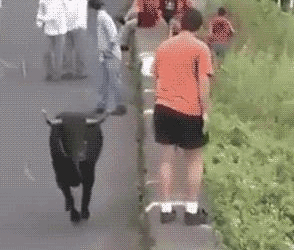 훼이크다 요놈아!.gif | 인스티즈