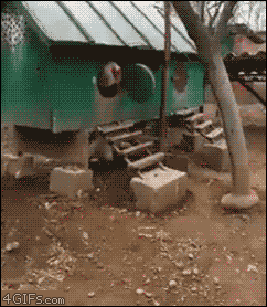 그레이트 닭 | 인스티즈