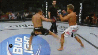 폭발력 하나는 독보적이었던 MMA 파이터 | 인스티즈