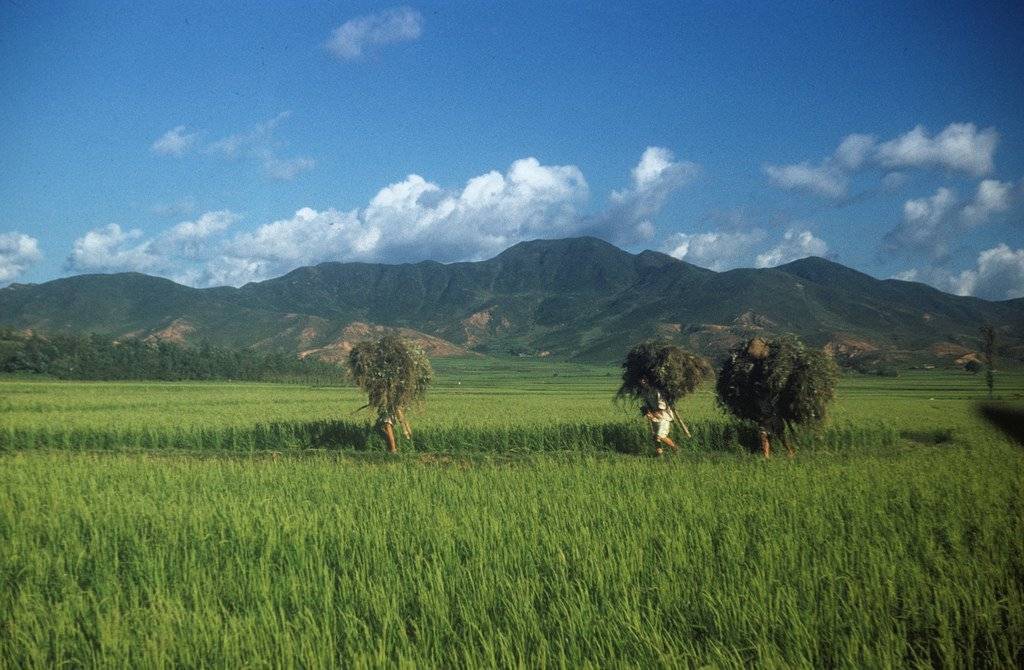 1952년도의 한국 | 인스티즈