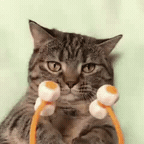 손님 얼굴 마사지 들어갑니다.gif | 인스티즈