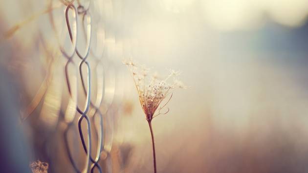 누군가를 좋아하면 시간은 둘로 나뉜다 | 인스티즈