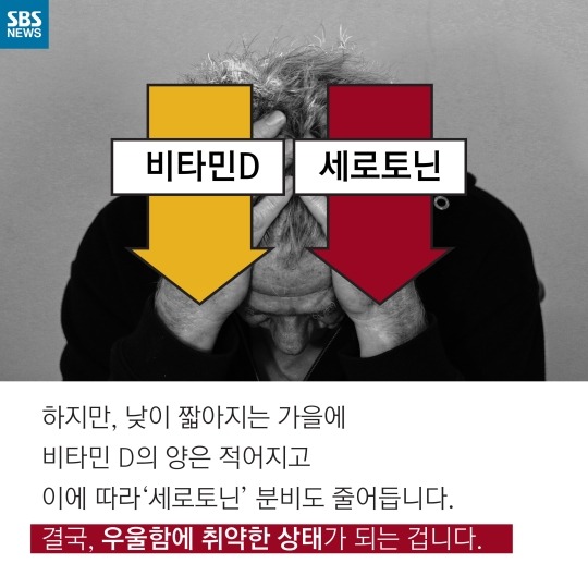 사람이 가을타는 이유 | 인스티즈