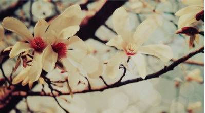 친한 사이 안에서 부는 바람은 더 쓸쓸하다 | 인스티즈