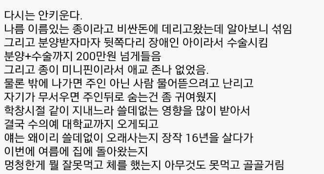 다시는 안키운다 | 인스티즈